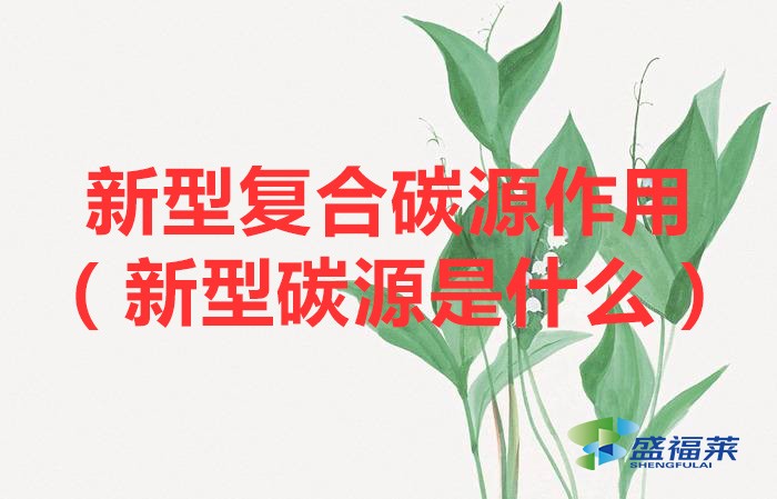 新型復合碳源作用（新型碳源是什么）