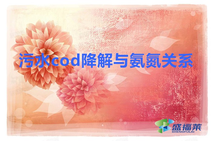 污水cod降解與氨氮關(guān)系