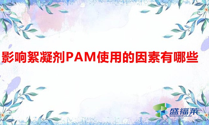 影響絮凝劑PAM使用的因素有哪些?